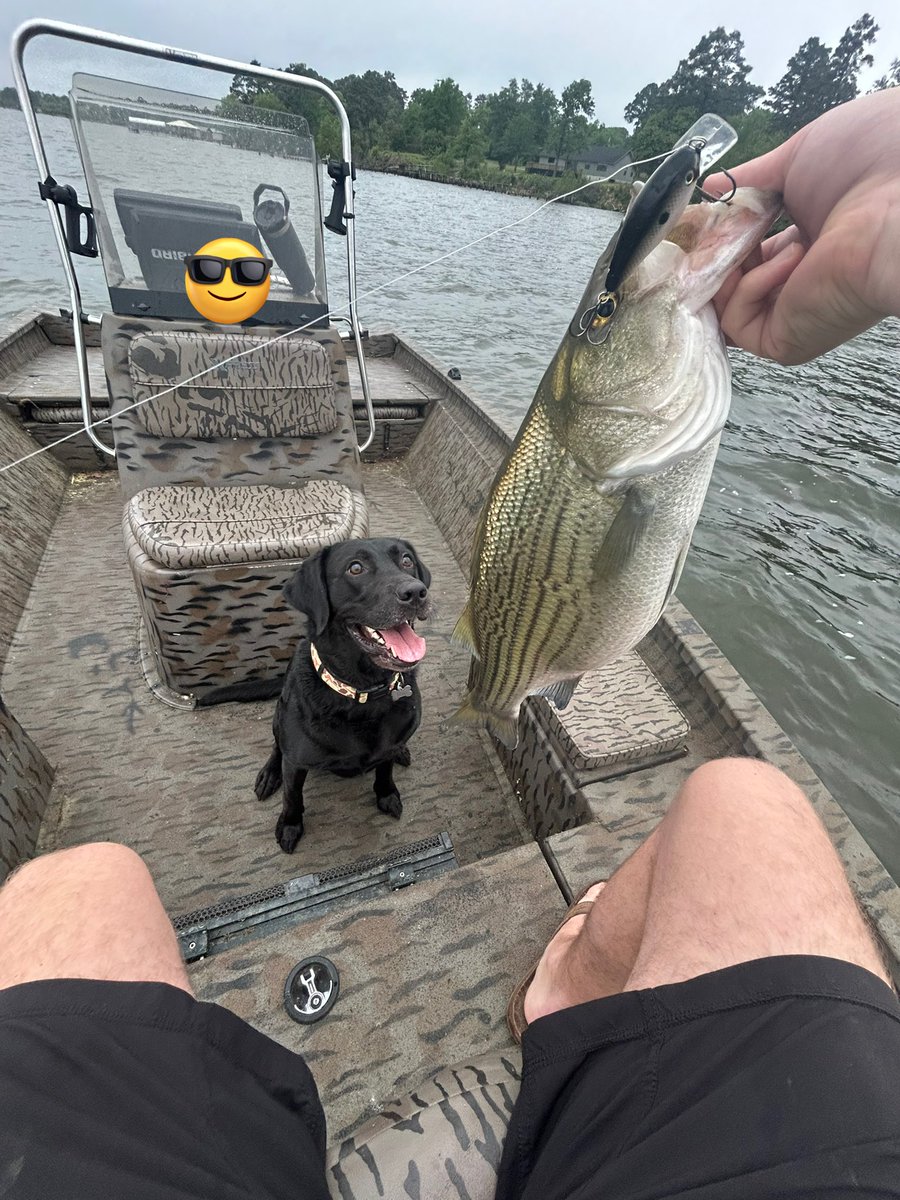 Freddy Broussard tweet media