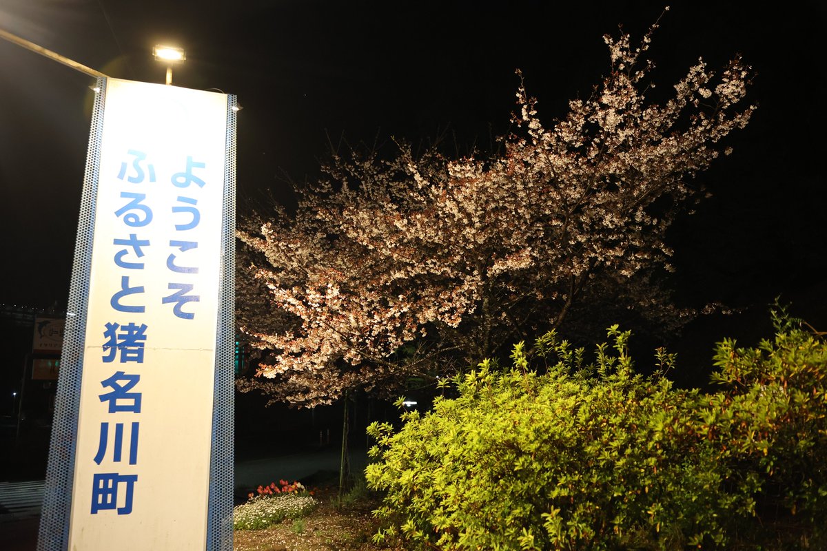 猪名川でいこう　　FILN 光と刻 ようこそふるさと猪名川町🌸 ふれあいのまち猪名川町🌸 健康長寿のまち