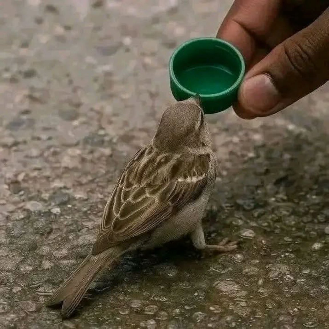 حٍگآيَہ مبعٍثرٍہ tweet media