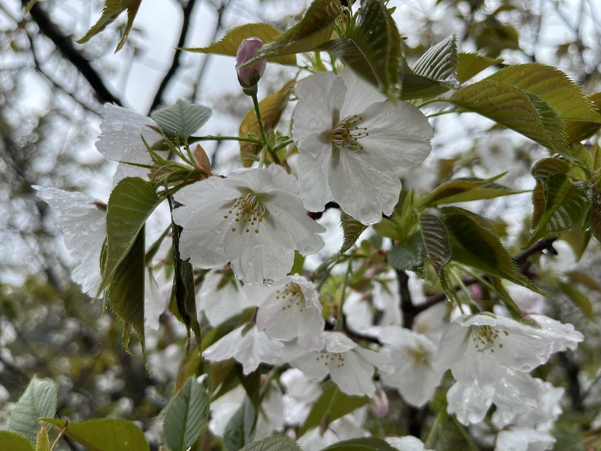 あんらぶ tweet media