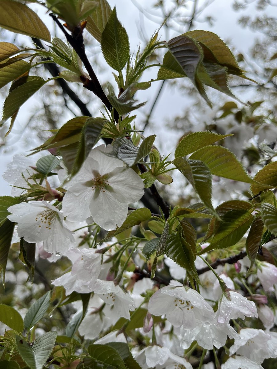 あんらぶ tweet media