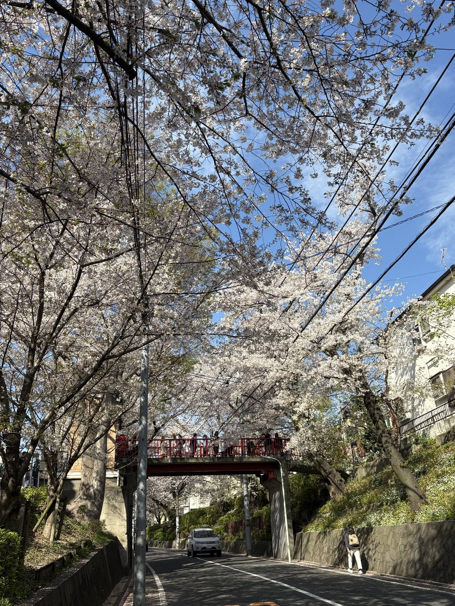 ちびチャコ tweet media