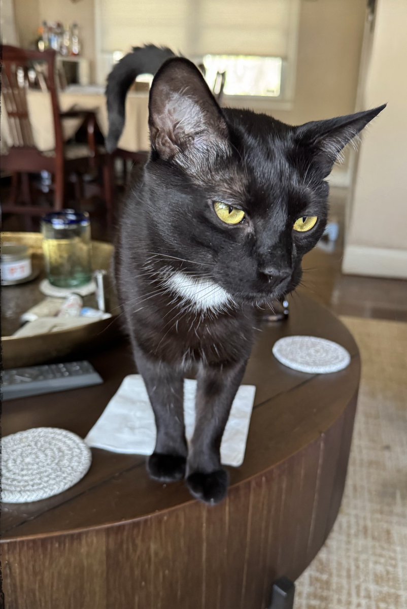 ShayFabs tweet media