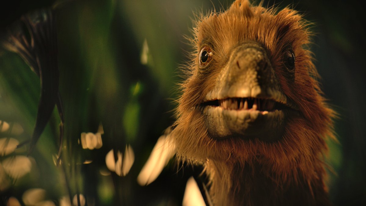 raftingzalmoxes's tweet image. #LifeOnOurPlanet #TheDinosaurs
Wait, what? The Dromies is only three hours away?!