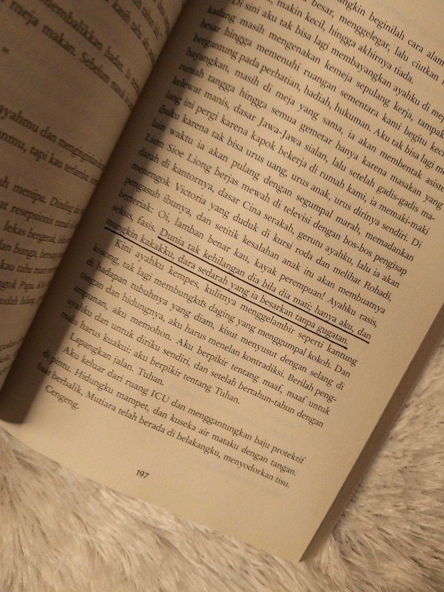 linzy 🧣 tweet media