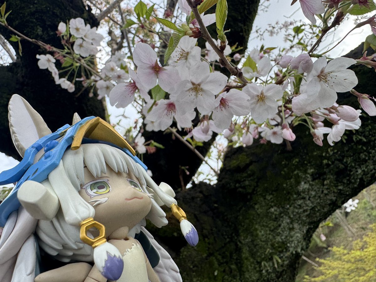 犬走 椛 tweet media