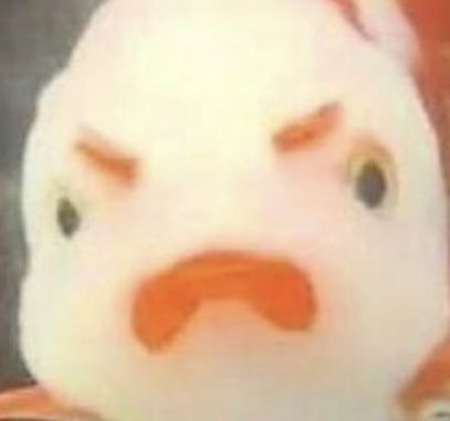 Ruipeng. tweet media