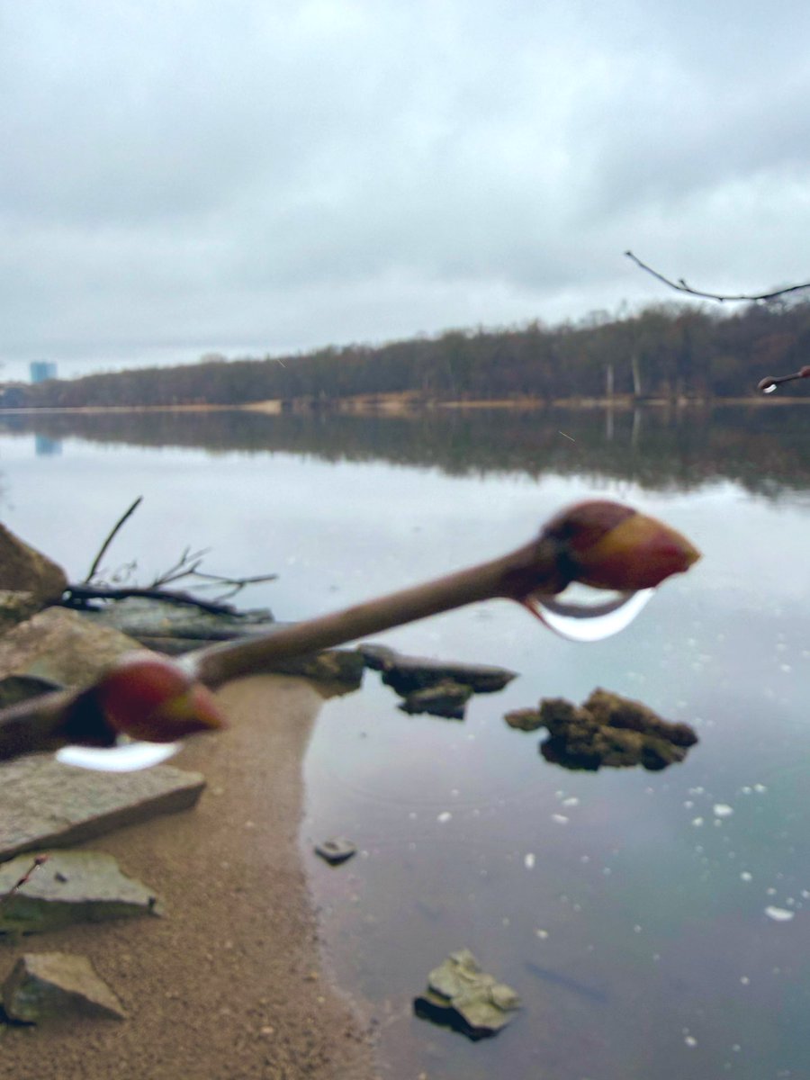 heatflow tweet media