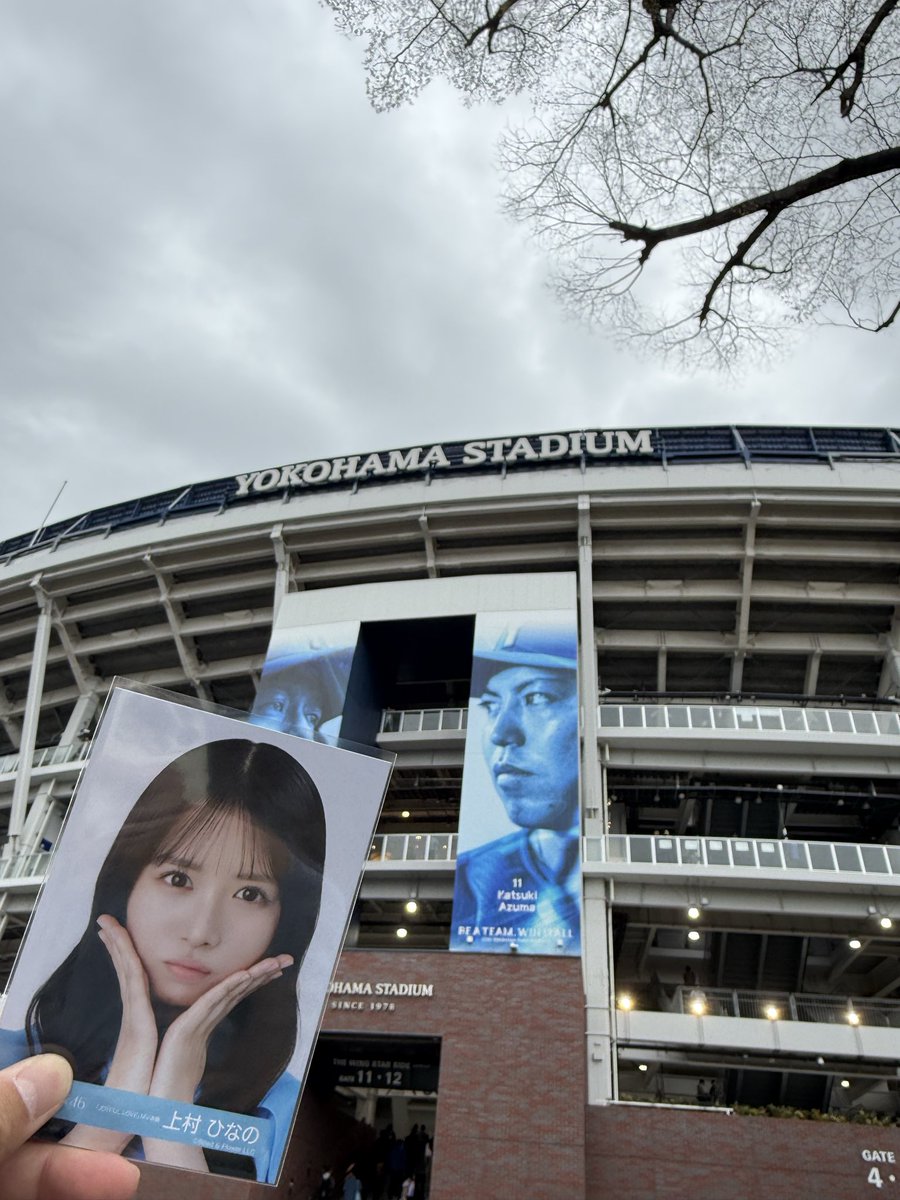 wakapon (NEXT➡️4/11.12 5thアニラ🤍) tweet media