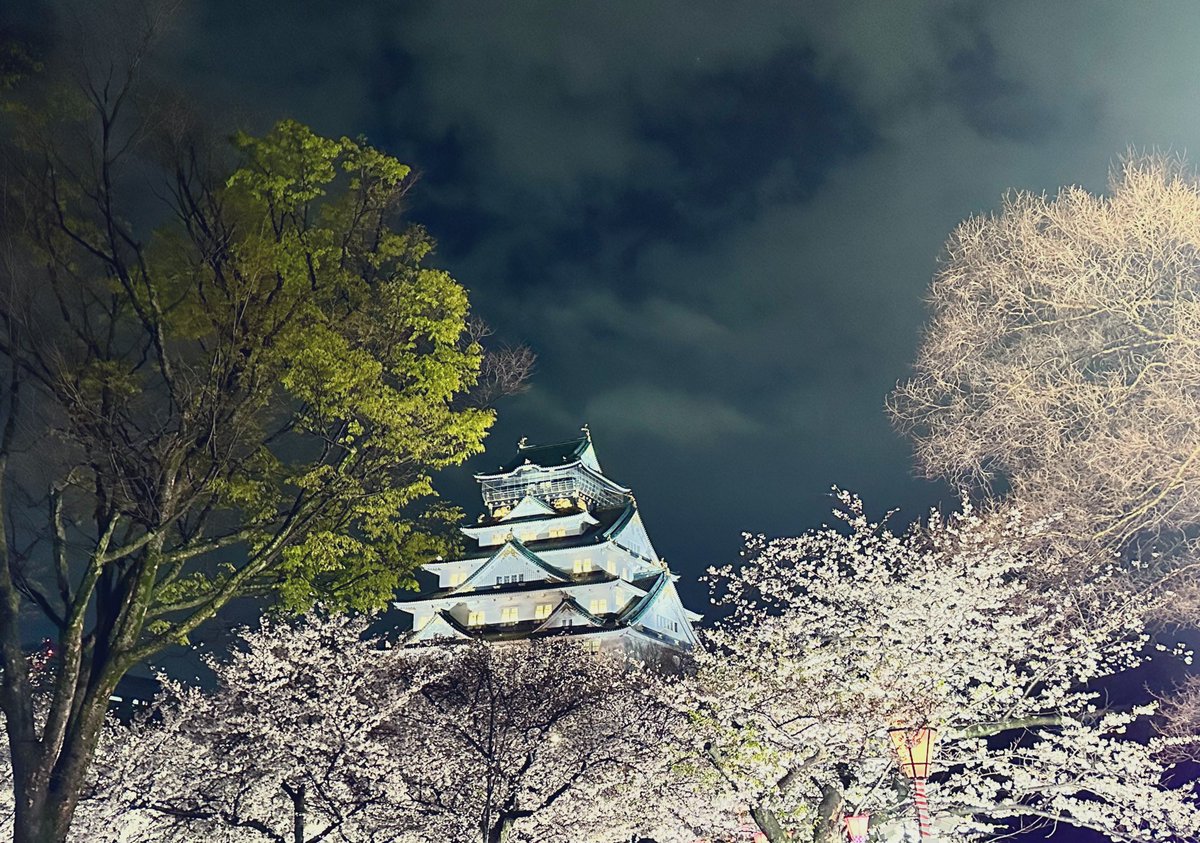 しおぴ🧂あめぴこそると🚥 tweet media