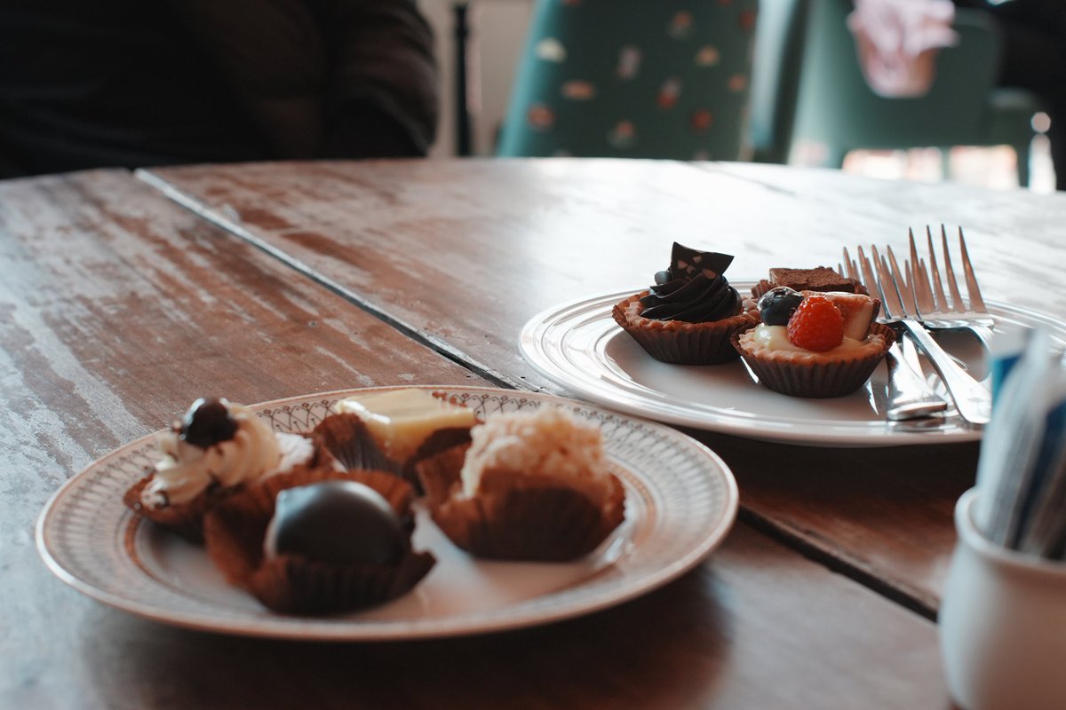 夜喵喵喵🔜绒兽 tweet media