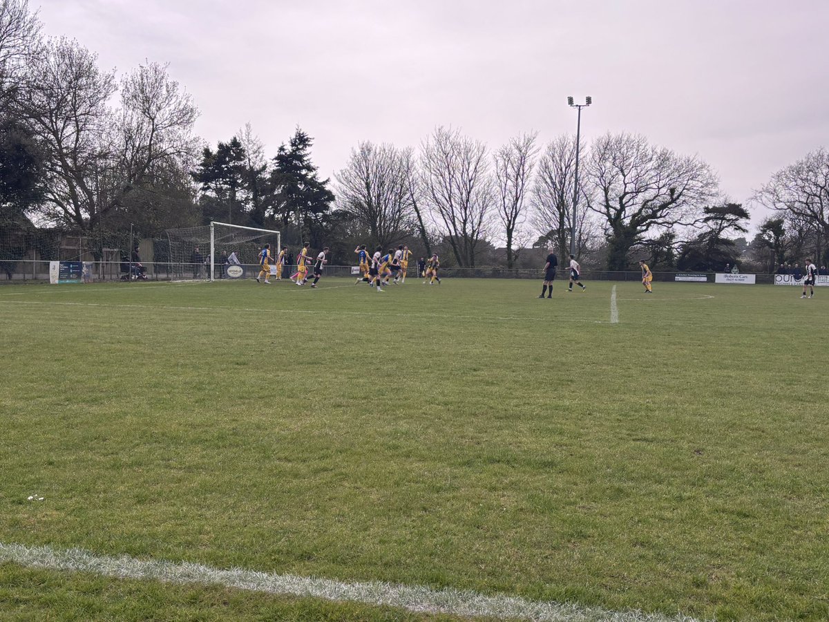 New Forest Groundhopper tweet media