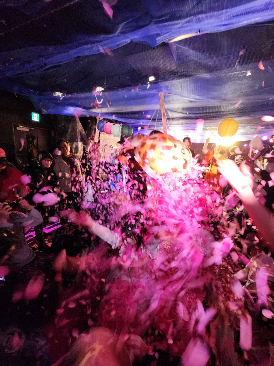 ことりん🌛(コ├刂ゲノム) tweet media