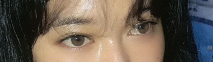 Edelweiss ʚɞ tweet media