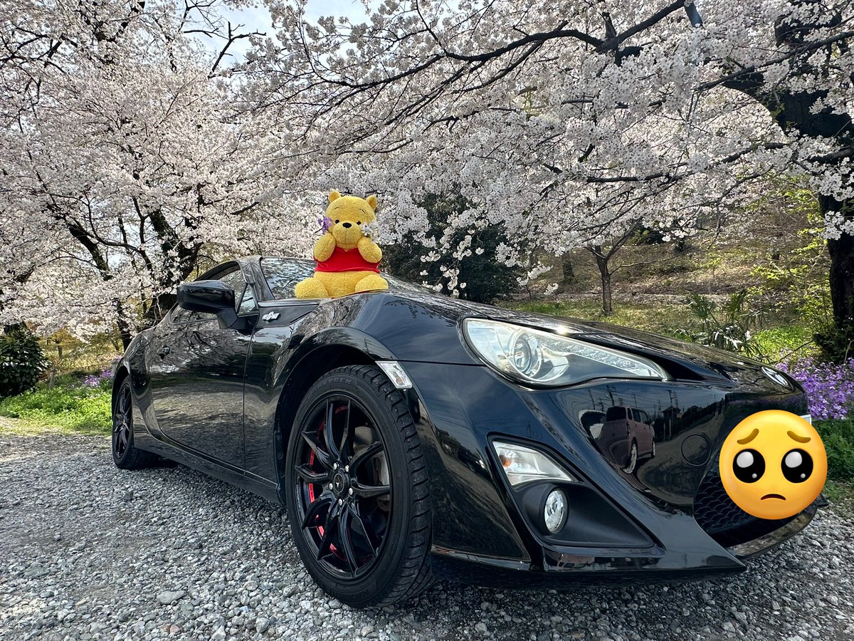 🎳紫 翠🎳 tweet media