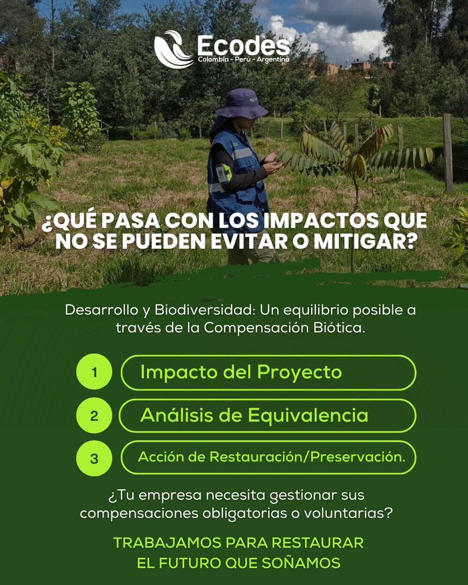 ecodesing's tweet photo. ¿Qué pasa con los impactos que no se pueden evitar o mitigar?

El crecimiento económico y la conservación de la naturaleza son complementarios.

1️⃣ Restauración ecológica.
2️⃣ Preservación vegetal.
3️⃣ Valores ambientales.

Nesecita compensaciones obligatorias, hablemos. https://t.co/OqFe9qLBty