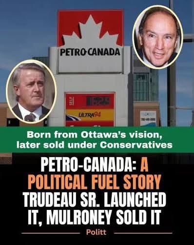 Zee, Queen of the North 🖖🐝🌻 tweet media