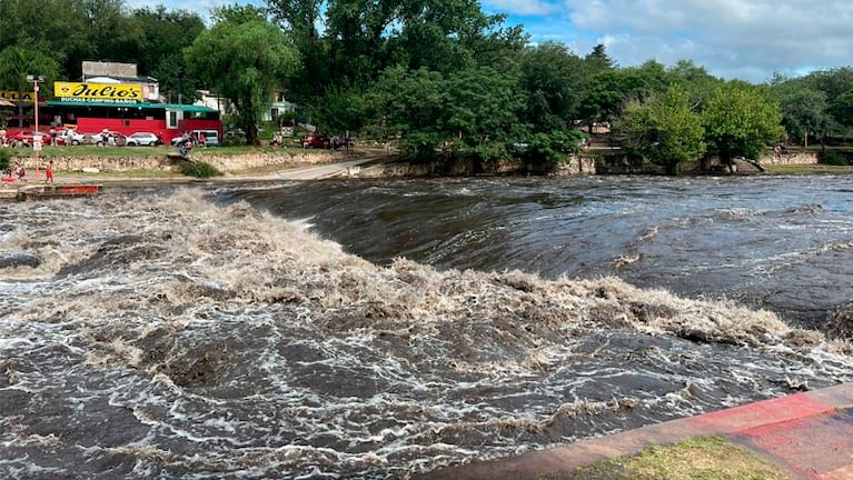 m a r i l ú tweet media