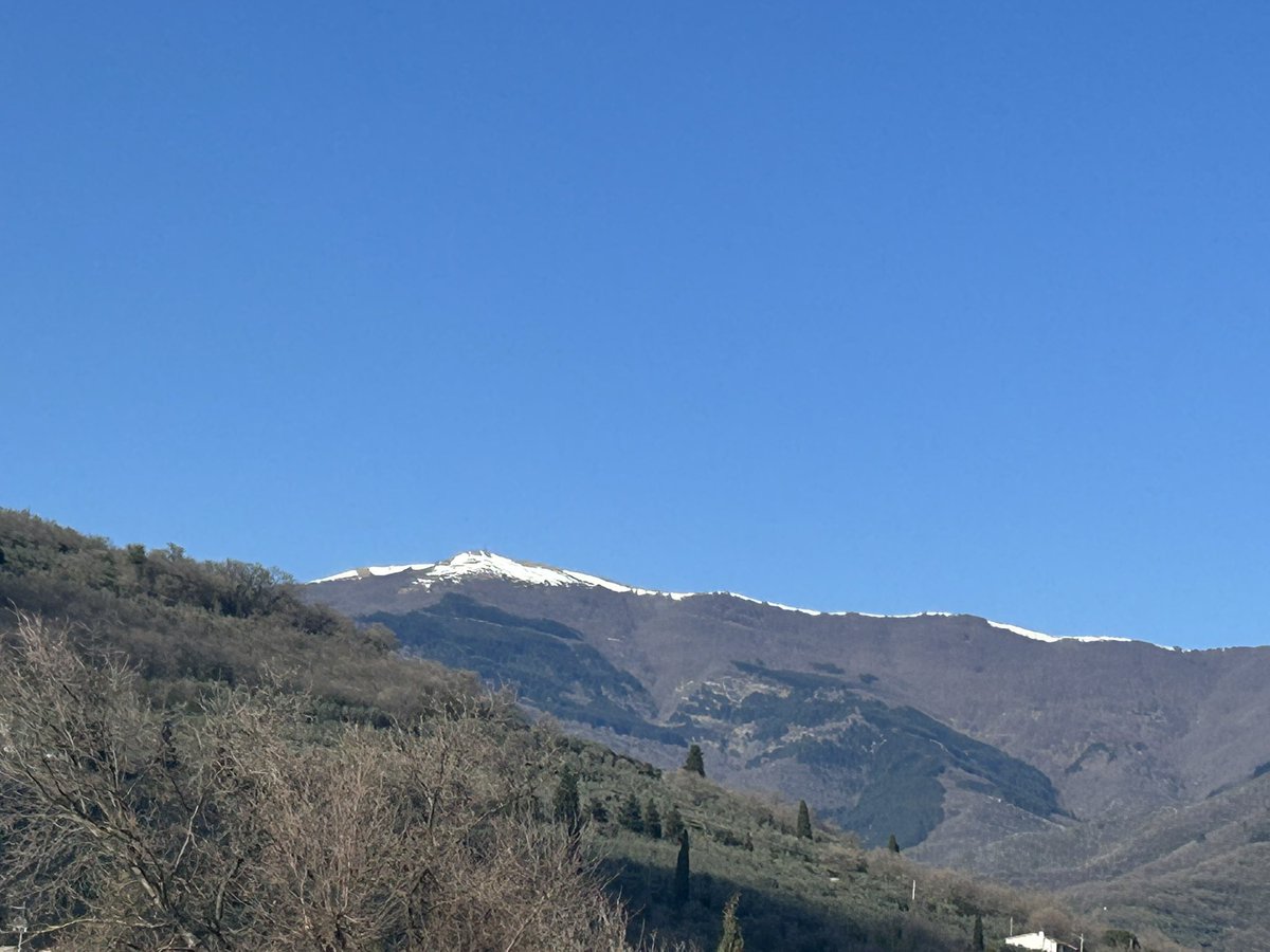 Sandra Chimenti tweet media