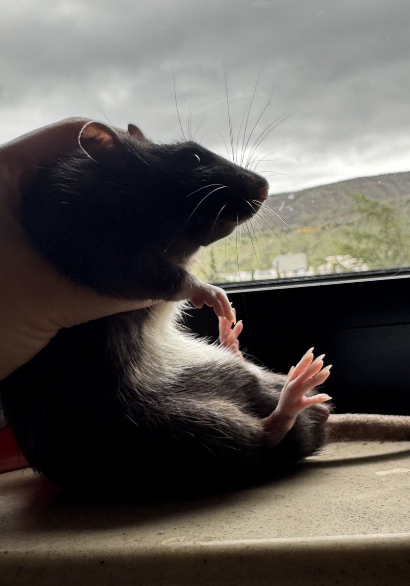 мелочь, а приятно tweet media