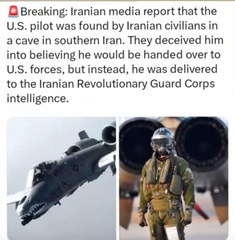 Zakki tweet media