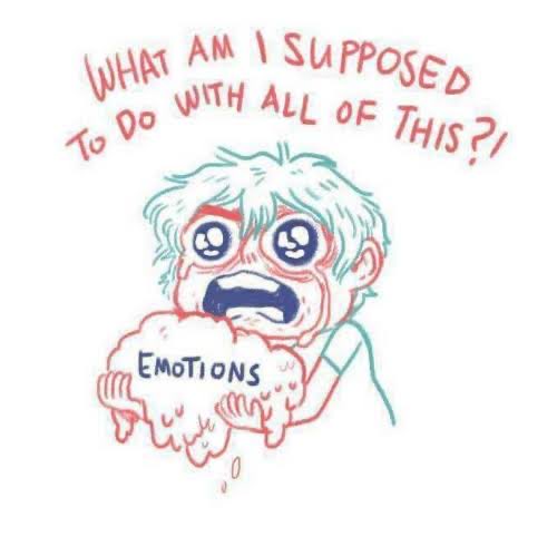 I Go Meow tweet media