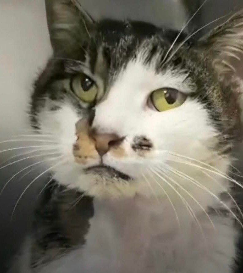 Barbara Catherine La Fonte 🐦 tweet media