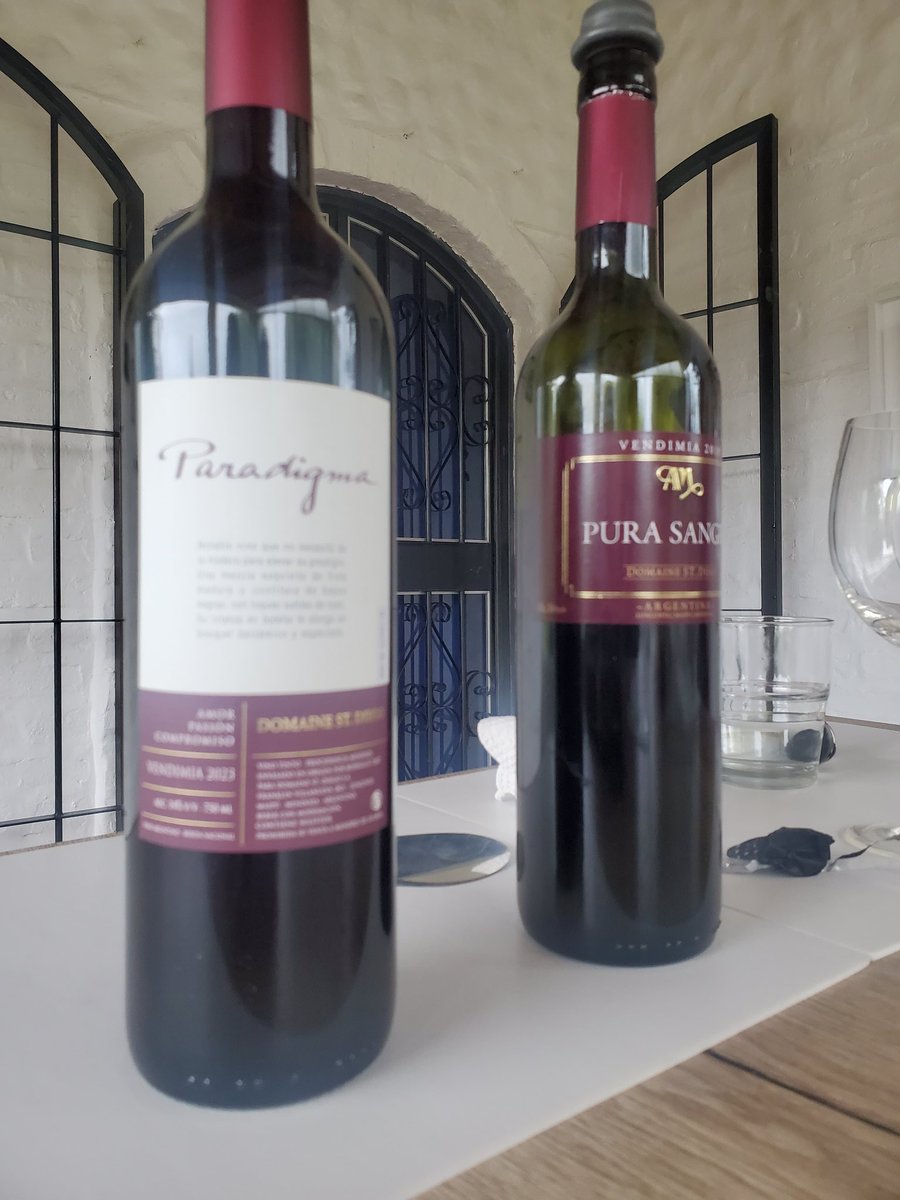 tierradelvino's tweet image. A lo que vinimos #DomaineStDiego #Lunlunta