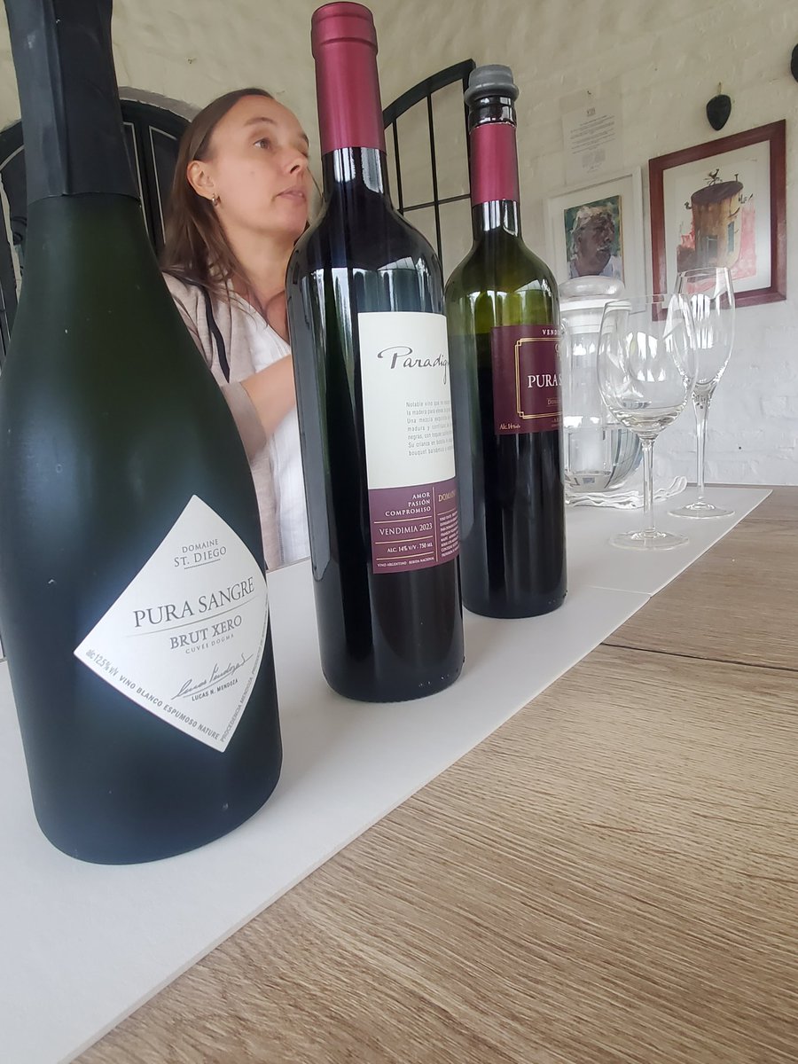 tierradelvino's tweet image. A lo que vinimos #DomaineStDiego #Lunlunta