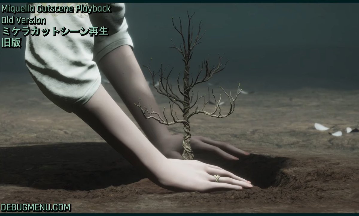 miquella endorser MIQ 2026 tweet media