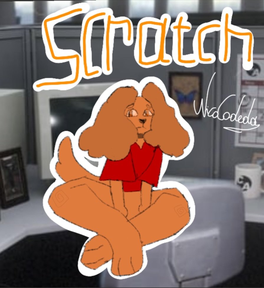 NicoCodeda tweet media