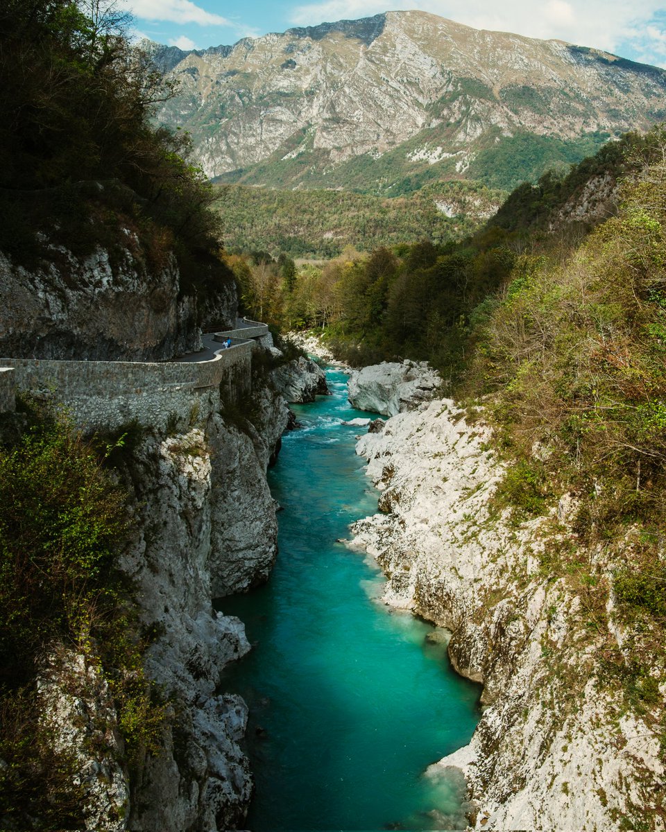 T 🇵🇸🏴󠁧󠁢󠁳󠁣󠁴󠁿 tweet media