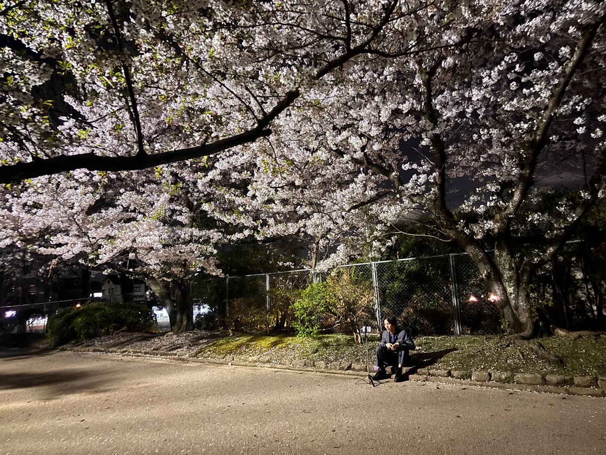 PennyYokota2525's tweet photo. 桜満開だった!
#offshot https://t.co/5YuHpF6BRg