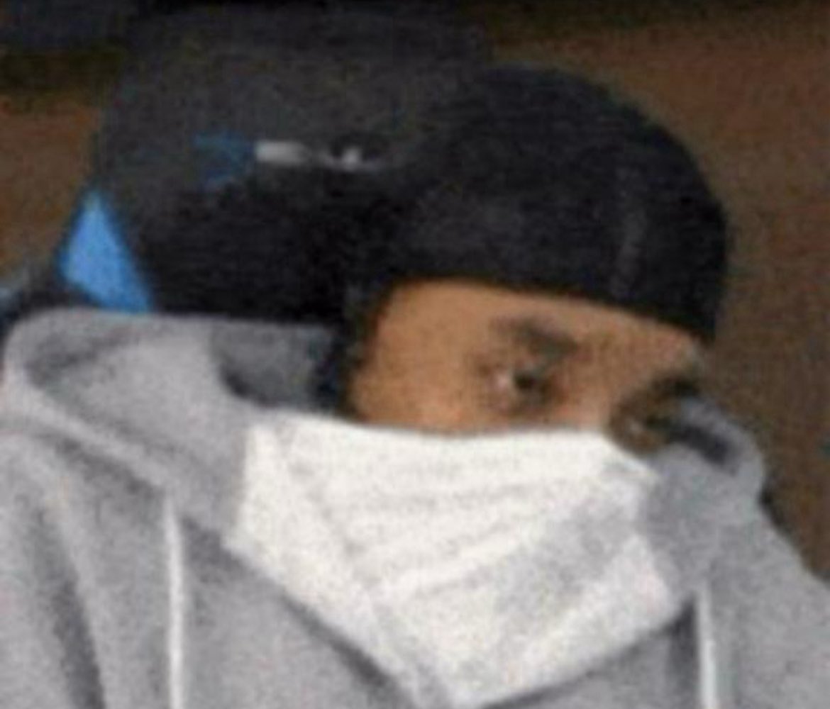 𝕿𝖗𝖊𝖞 #PGFREE tweet media