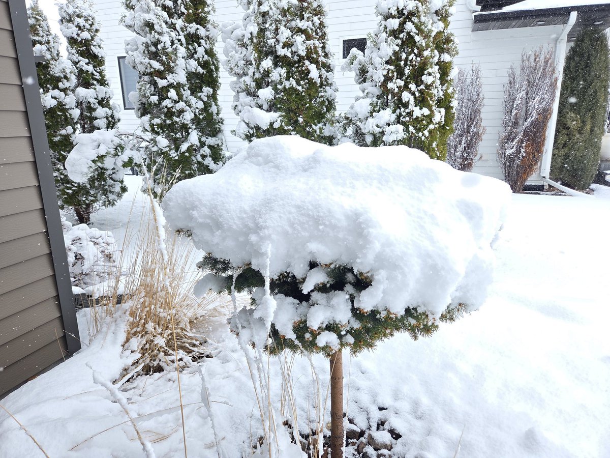 Steve Hallstrom tweet media