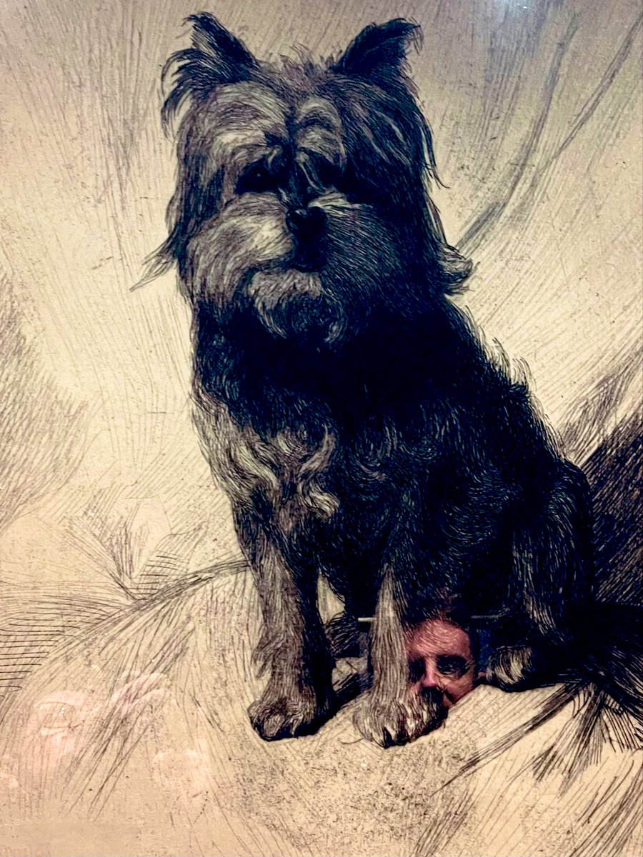 Will Sergeant tweet media