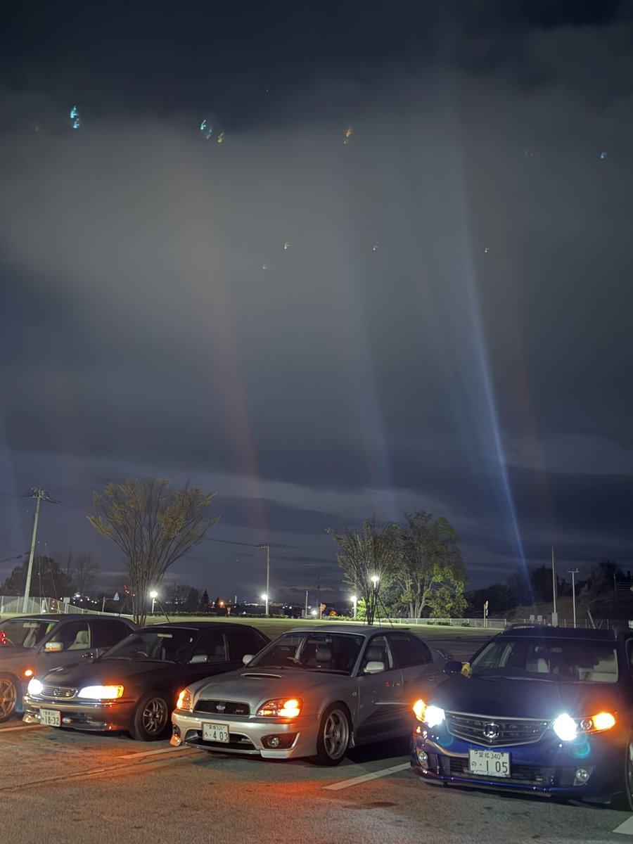 カエデ tweet media