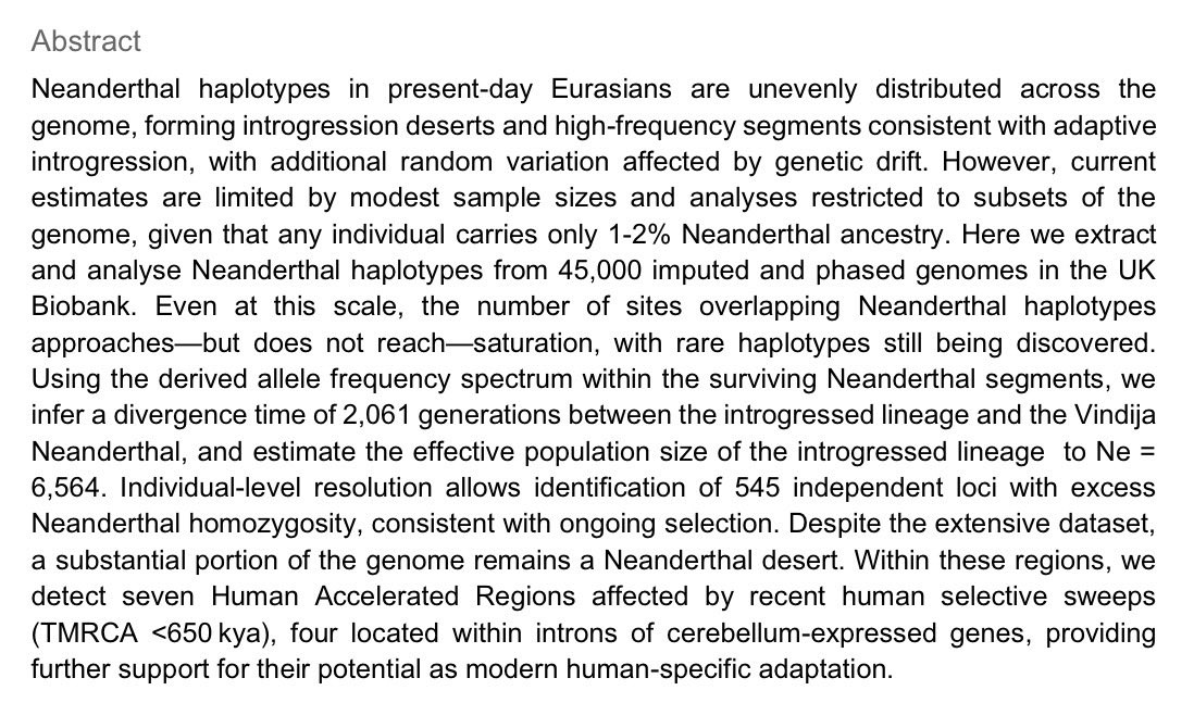 Daniel Tabin tweet media
