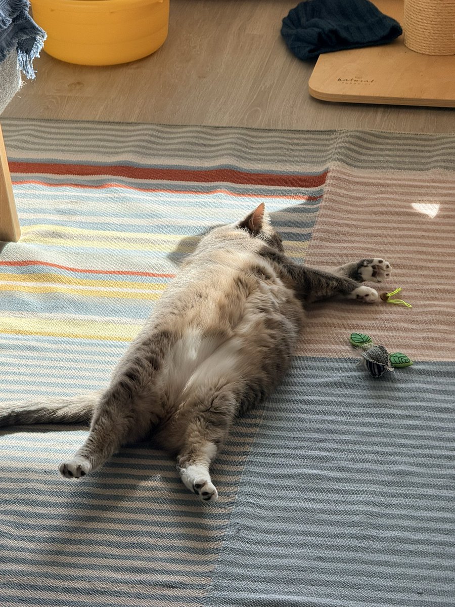 Ведро с газеткой tweet media