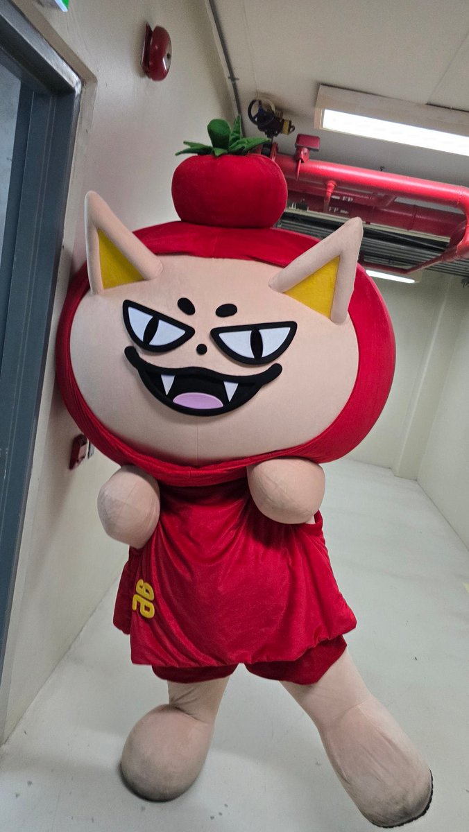 메모’B 🐰 tweet media