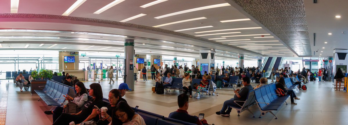 Marco Levario Turcott tweet media