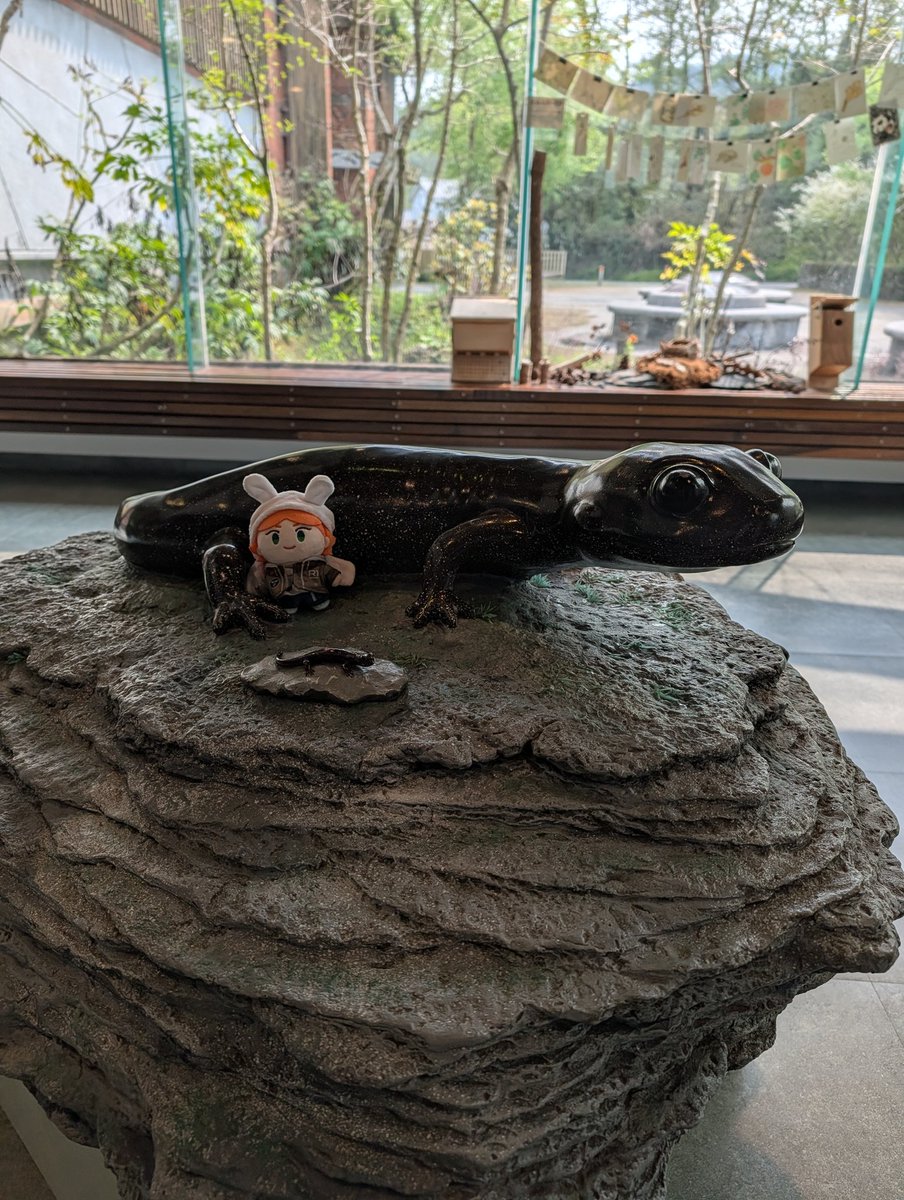 Yuushi 🪨🥚💜❤️ tweet media