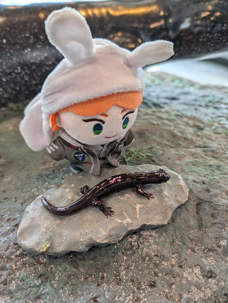 Yuushi 🪨🥚💜❤️ tweet media