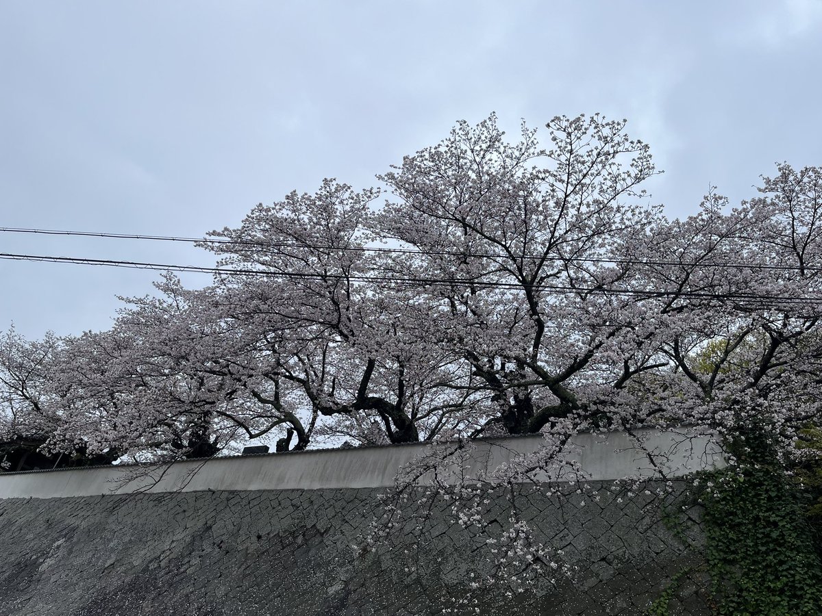 あんらぶ tweet media