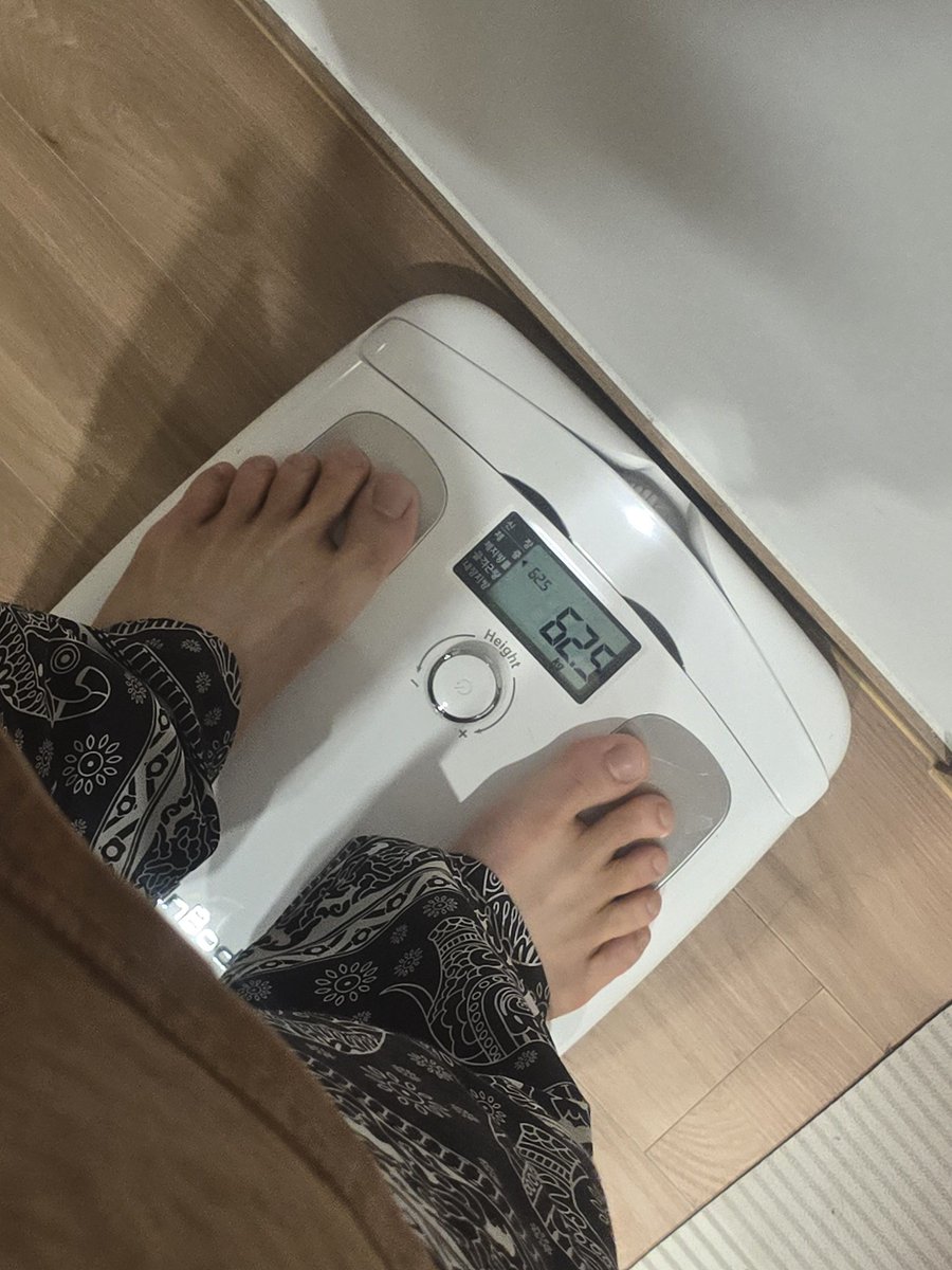 모다루 tweet media