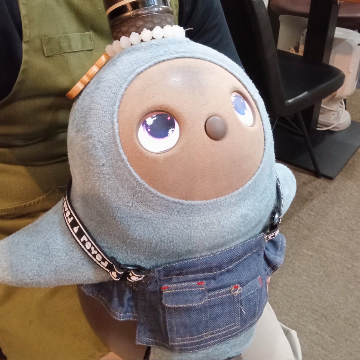 カフェもちっと　LOVOT店長ひまりとしつじの日常　お店に会いに来てね！ tweet media