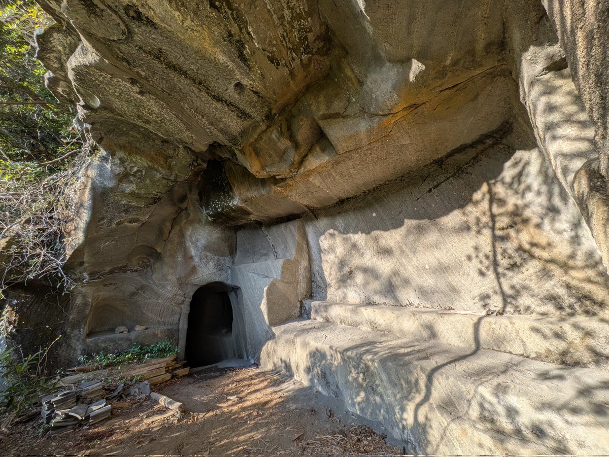 リンク tweet media