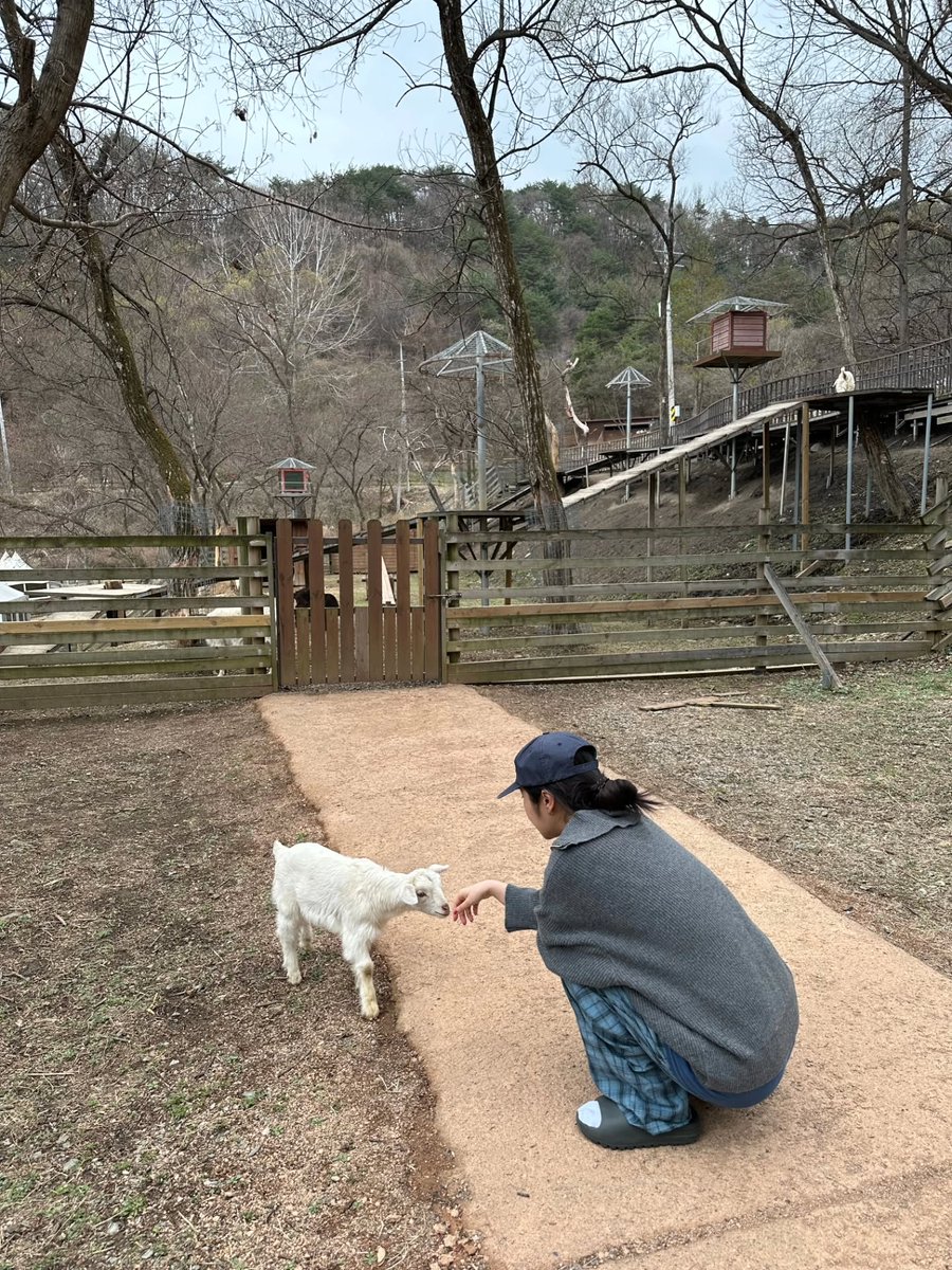 DC 휘인 마이너 갤러리 tweet media