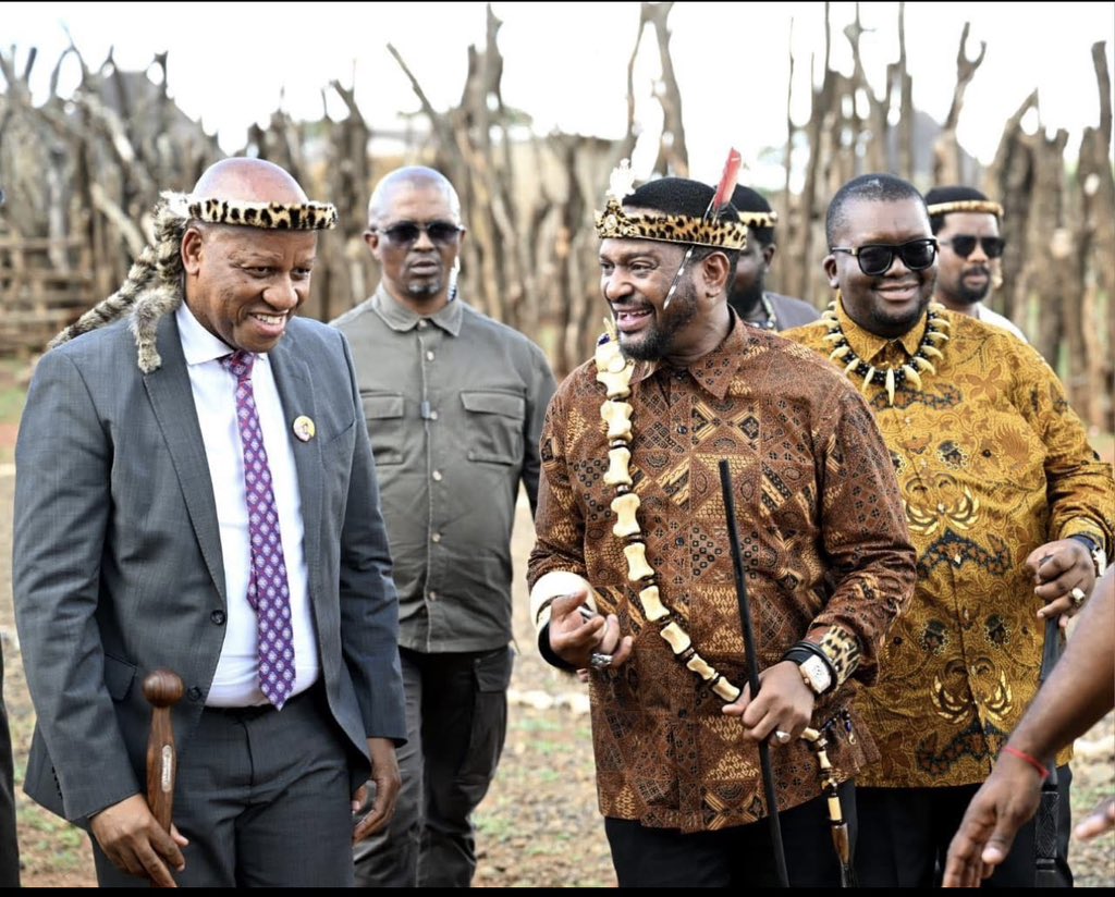 KZN PREMIER tweet media