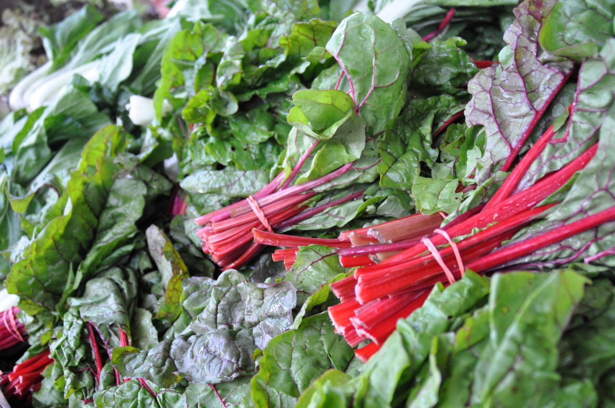14850dining's tweet photo. It’s here! The first day of the Ithaca Farmers Market at Steamboat Landing is here! What are you eating before you hop back on the bike, and what are you grabbing to cook tonight? https://t.co/prAUG4aKlD